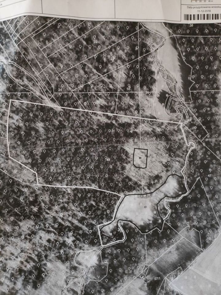 Działka leśna Głobikówka. Zdjęcie 3