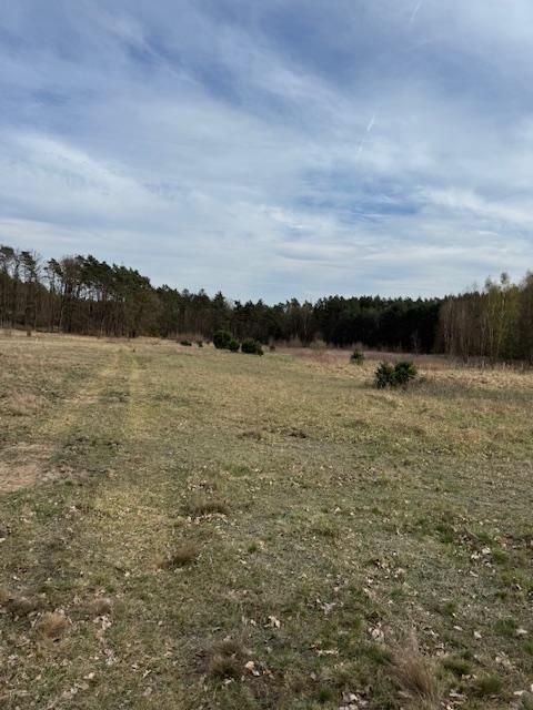 Działka rolno-budowlana Gola Wielka. Zdjęcie 6