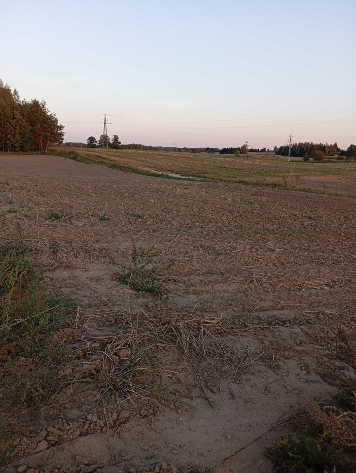 Działka rolno-budowlana Pozezdrze. Zdjęcie 4