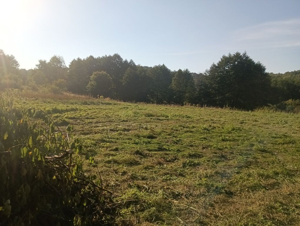 Działka siedliskowa Błażowa. Zdjęcie 8