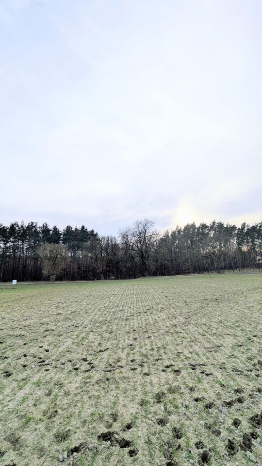Działka budowlana Potrzanowo Włókna, ul. Skocka. Zdjęcie 7