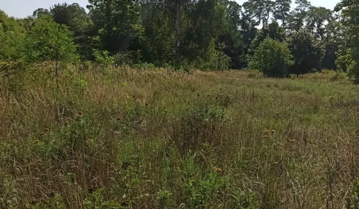 Działka inwestycyjna Ścinawa, ul. Legnicka