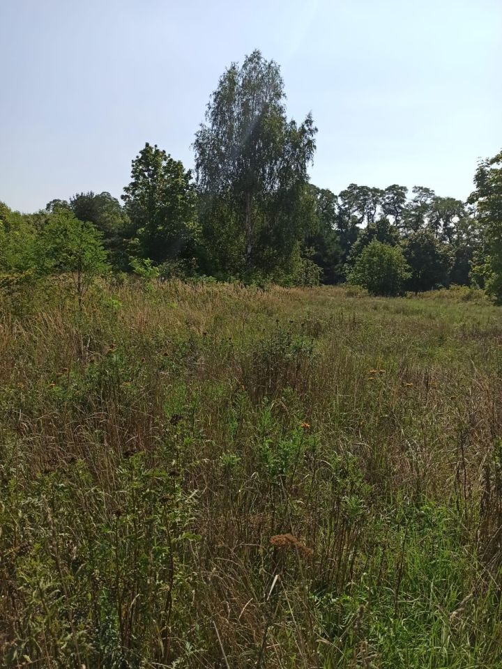 Działka inwestycyjna Ścinawa, ul. Legnicka. Zdjęcie 1