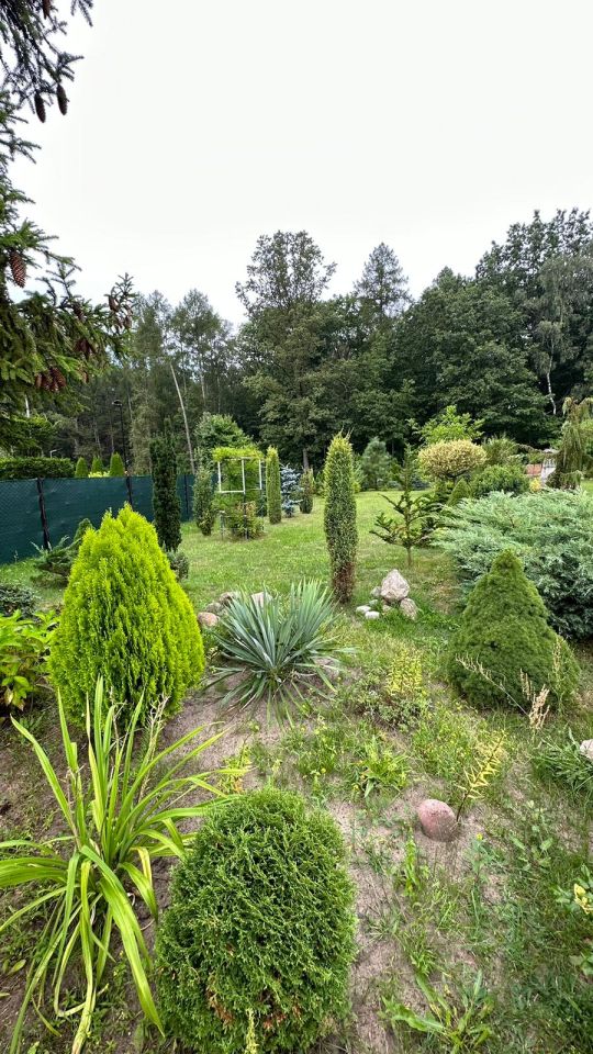 Działka budowlana Świerczyna. Zdjęcie 33