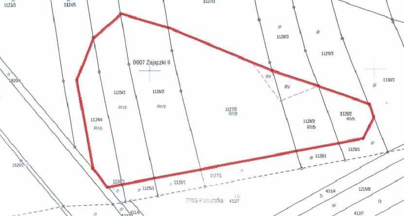 Działka inwestycyjna Zajączki Drugie. Zdjęcie 6