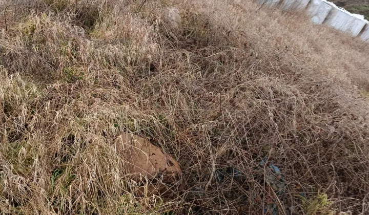 Działka budowlana Nakło nad Notecią