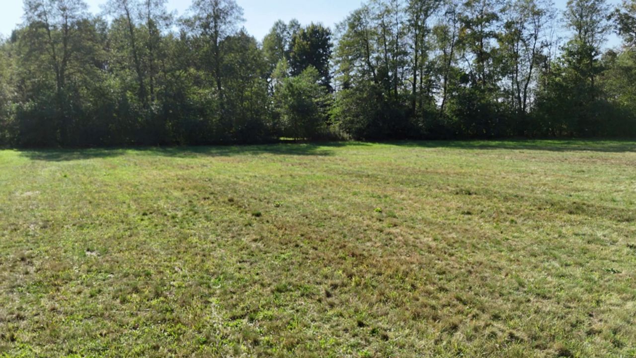 Działka rolna Celinów, ul. Różana