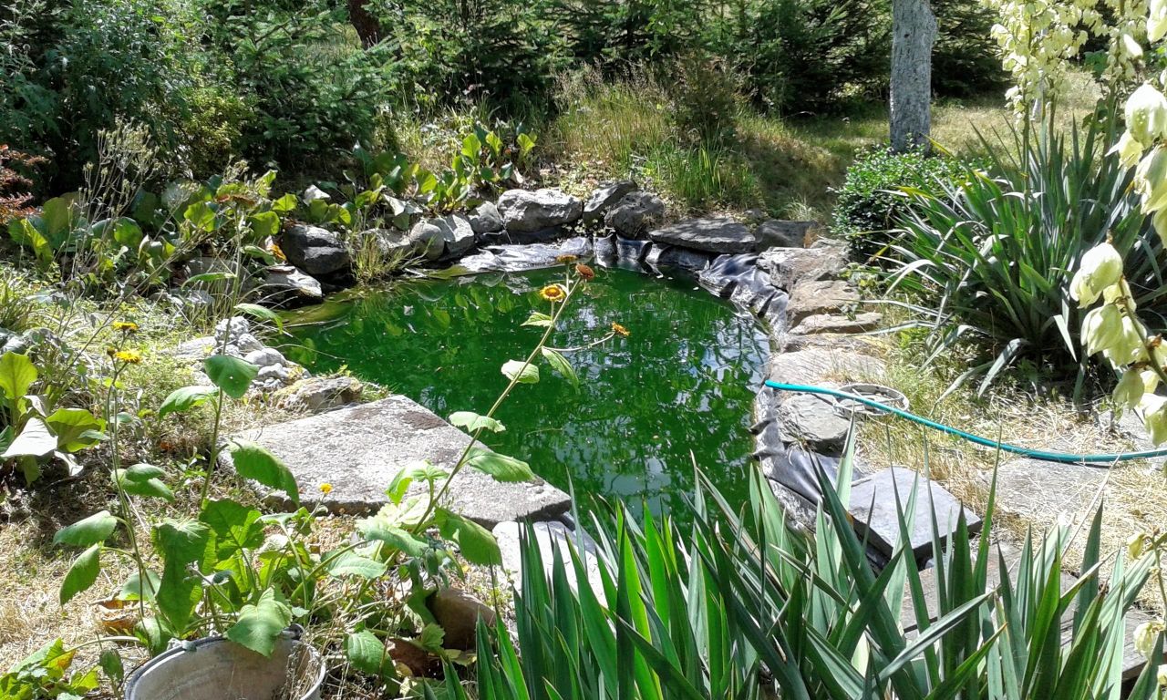 Działka rod Legnica, ul. Chojnowska. Zdjęcie 8