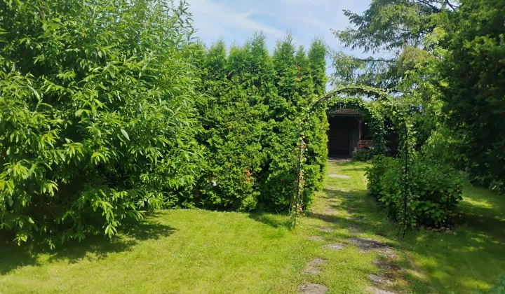 Działka rod Ostrów Wielkopolski, ul. Kaliska