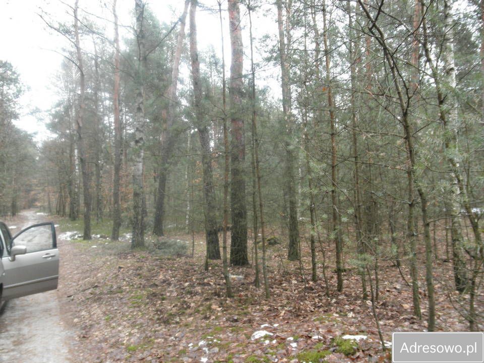 Działka leśna Sobolew, ul. Łaskarzewska. Zdjęcie 7