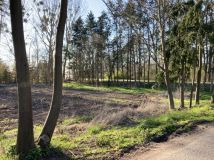 Działka rolno-budowlana Pyrzyce. Zdjęcie 2