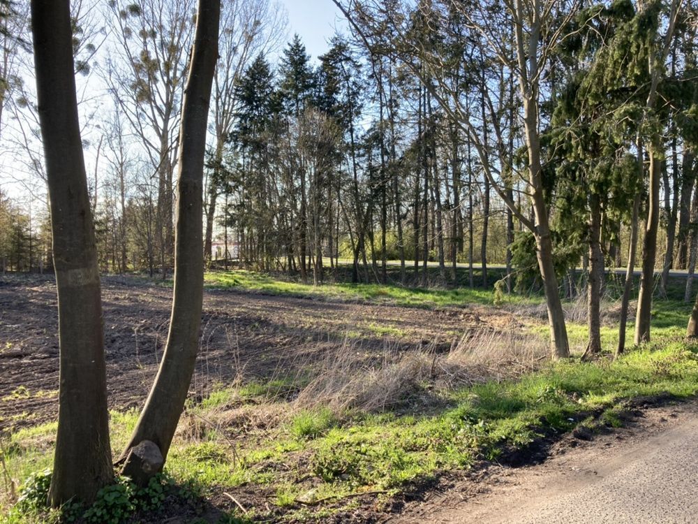 Działka rolno-budowlana Pyrzyce. Zdjęcie 3