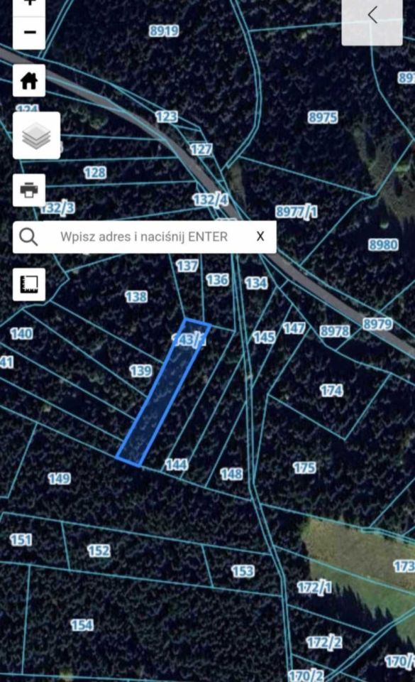 Działka leśna Zalesie. Zdjęcie 3