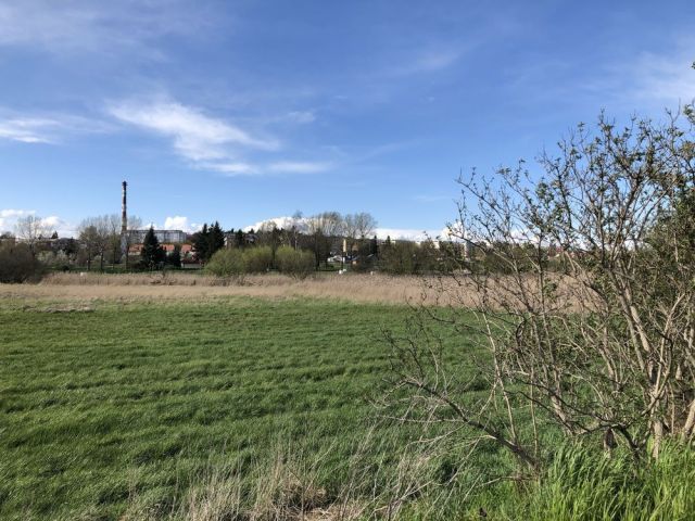 Działka budowlana Świebodzin, ul. Topolowa. Zdjęcie 1