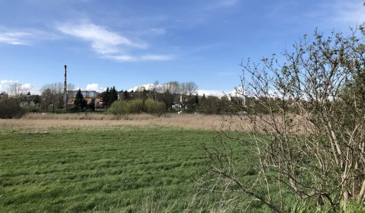 Działka budowlana Świebodzin, ul. Topolowa