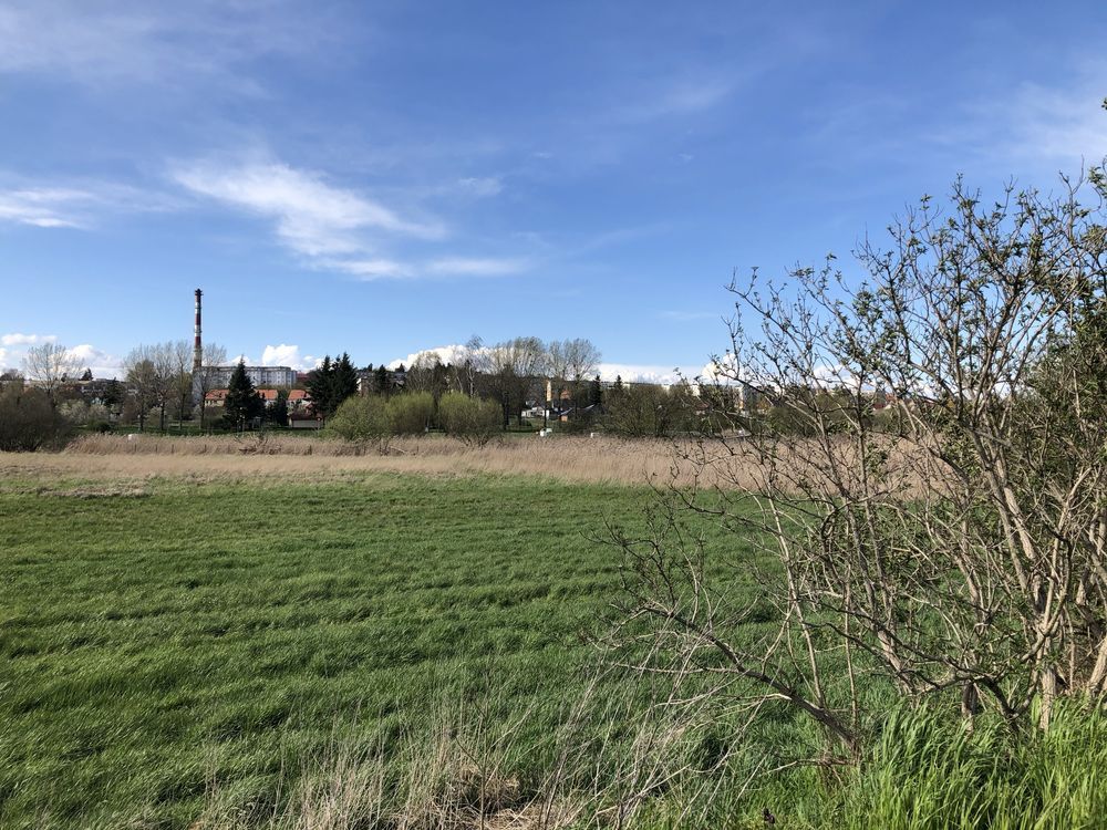 Działka budowlana Świebodzin, ul. Topolowa