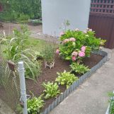 Działka rod Płock, ul. Dobrzyńska. Zdjęcie 1