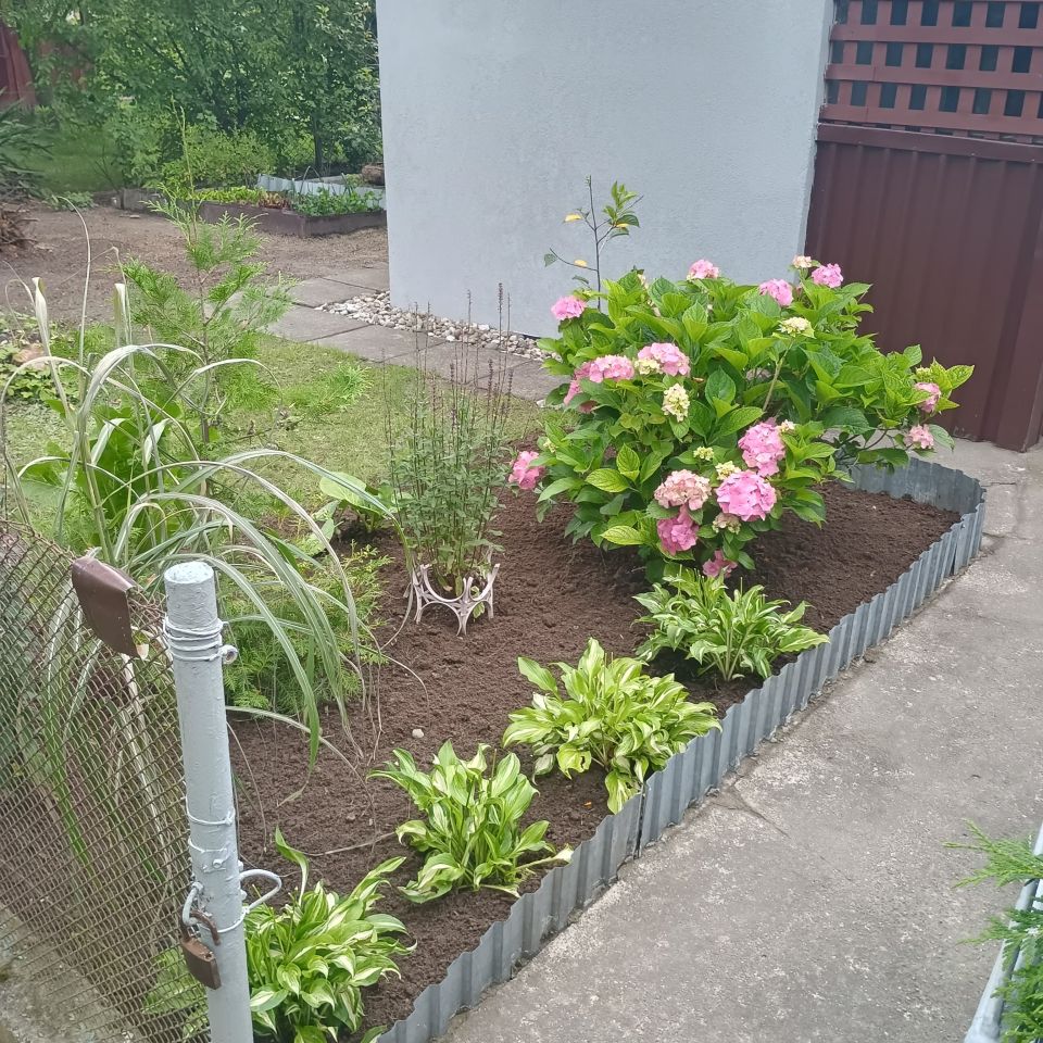 Działka rod Płock, ul. Dobrzyńska. Zdjęcie 2