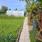 Działka rod Sztum, ul. Kasprowicza. Zdjęcie 4