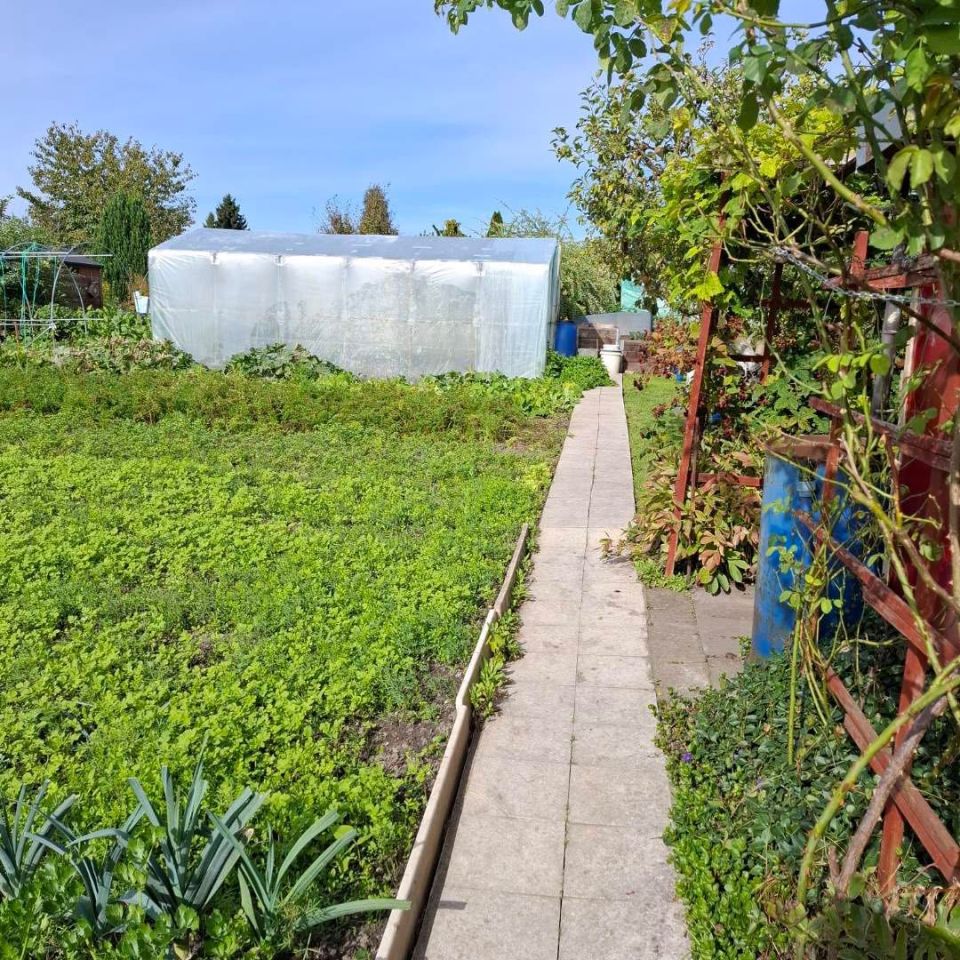 Działka rod Sztum, ul. Kasprowicza. Zdjęcie 5