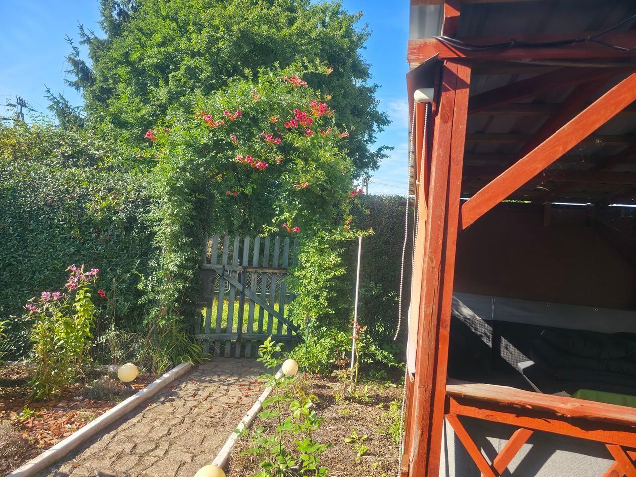 Działka rod Nowa Sól, ul. Ceglana. Zdjęcie 5