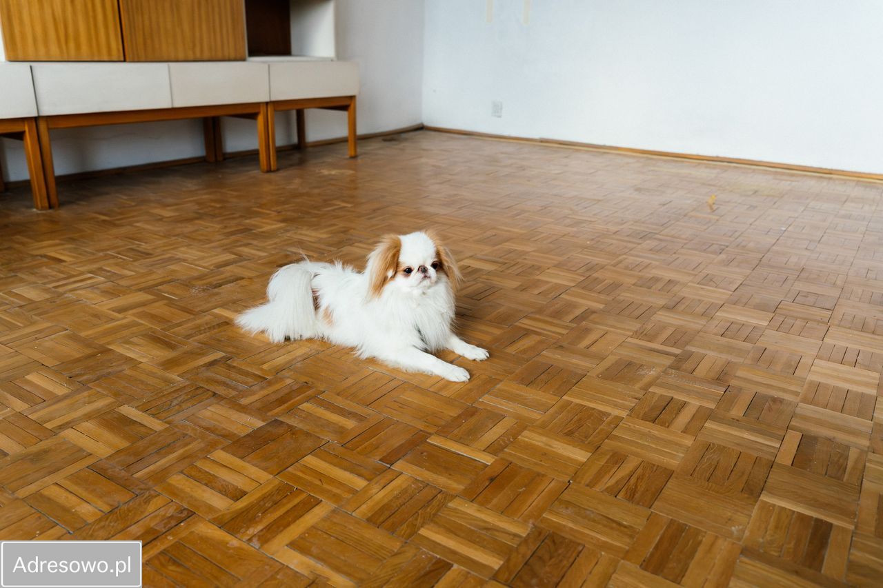 Mieszkanie 3-pokojowe Poznań Grunwald, ul. Jana Keplera. Zdjęcie 14