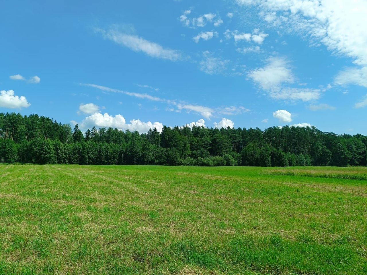 Działka rolna Wilczyny. Zdjęcie 7