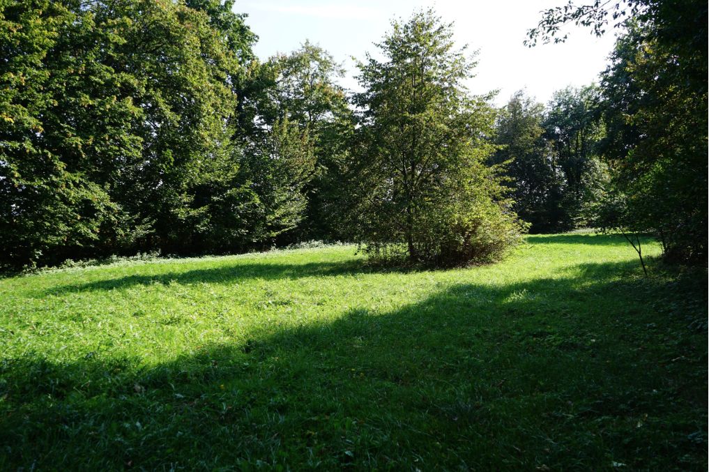 Działka budowlana Kiełki. Zdjęcie 2