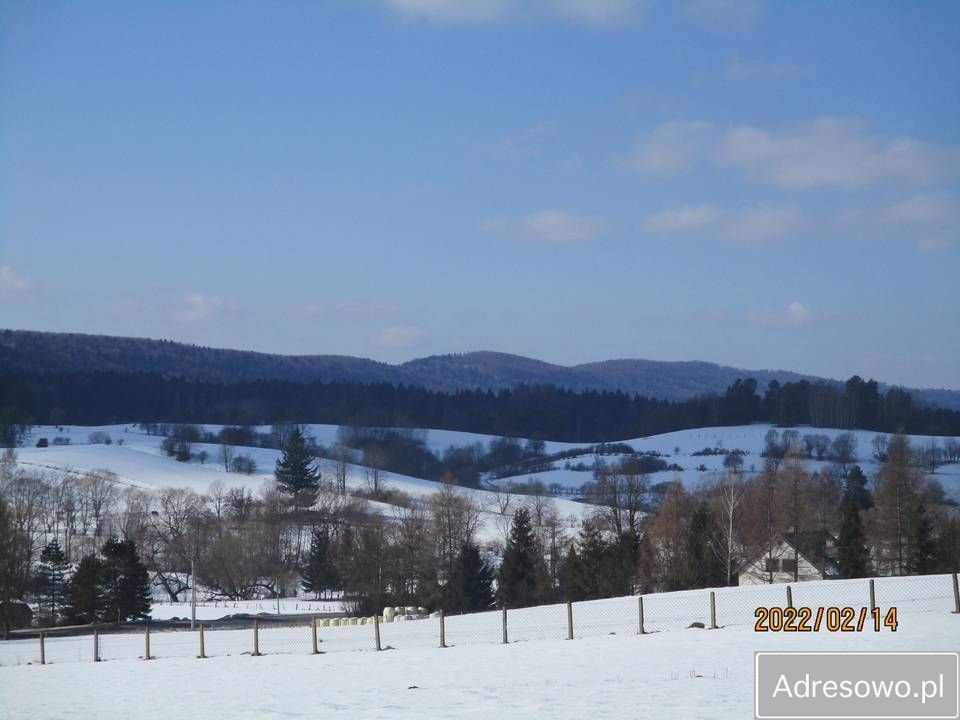 Hala/magazyn Zadwórze. Zdjęcie 5