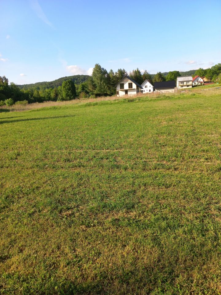 Działka budowlana Gogołów. Zdjęcie 7