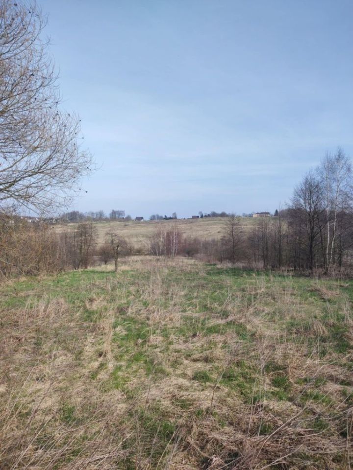 Działka rolno-budowlana Lednica Górna. Zdjęcie 4