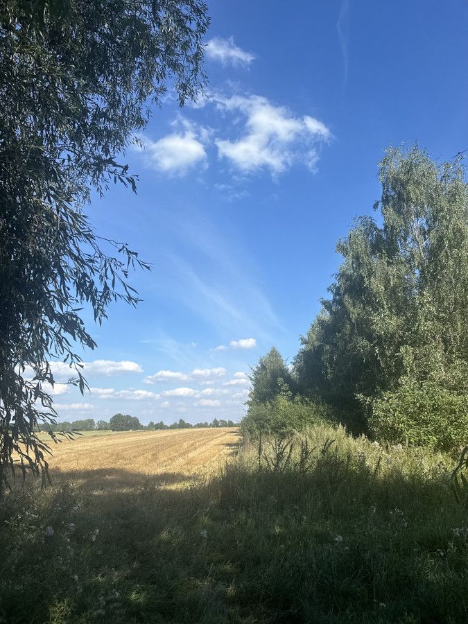 Działka rekreacyjna Pęczniew. Zdjęcie 5