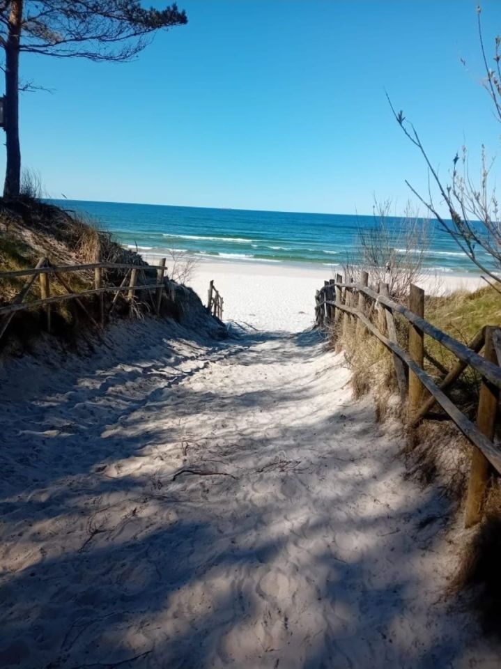 Działka rolna Karwieńskie Błoto Drugie. Zdjęcie 2