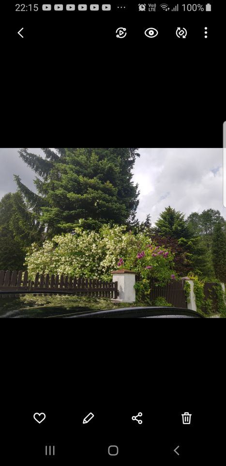 Działka rekreacyjna Łosie, ul. Czyżyka. Zdjęcie 28