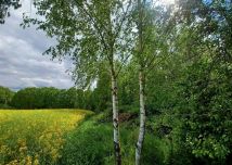 Działka budowlana Pławna Dolna. Zdjęcie 1