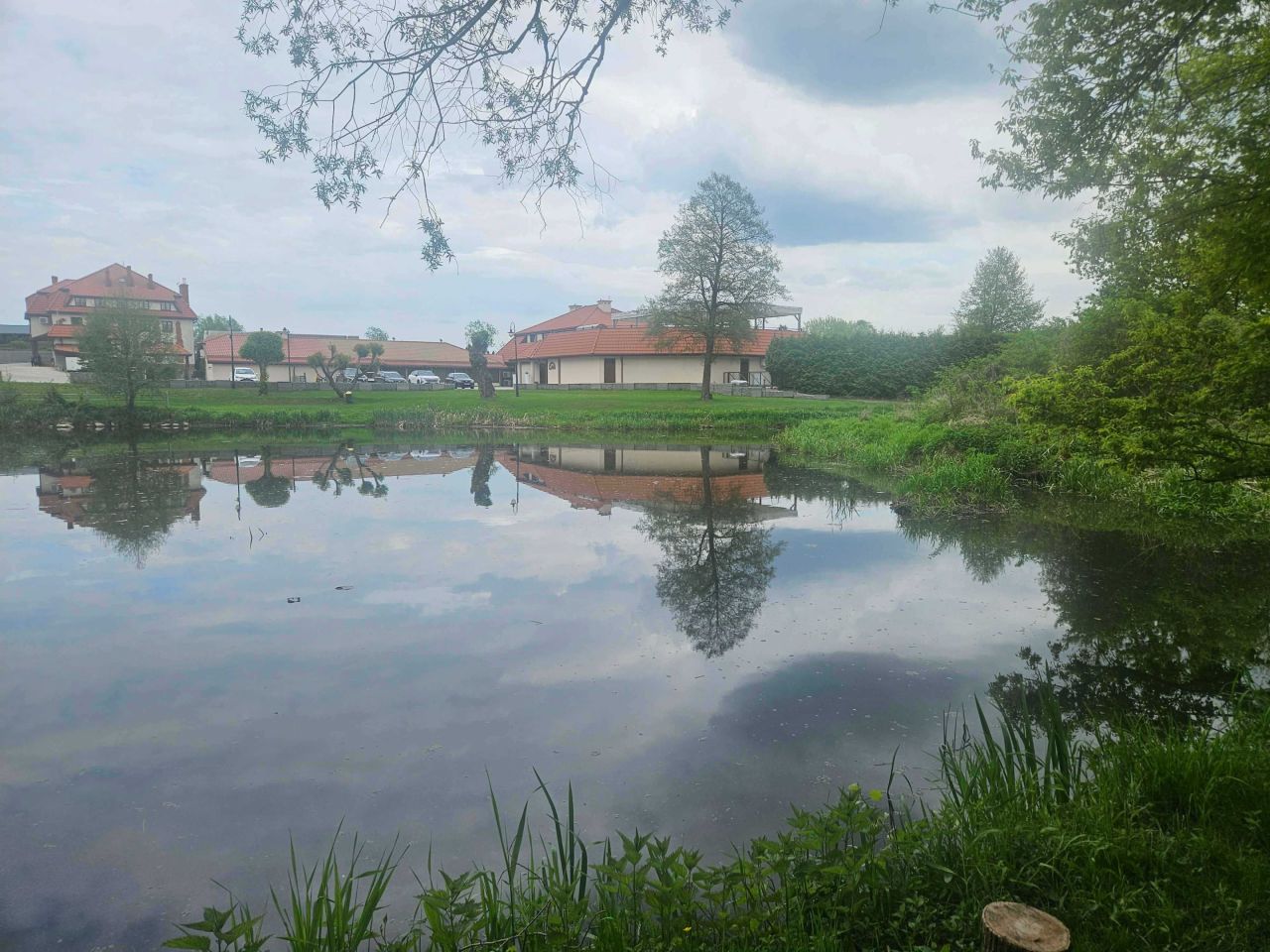 Działka leśna Ciepielewo. Zdjęcie 3
