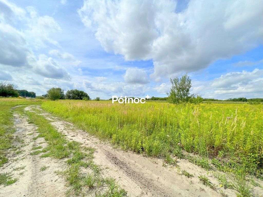Działka Bielawa, ul. Zawilcowa. Zdjęcie 4