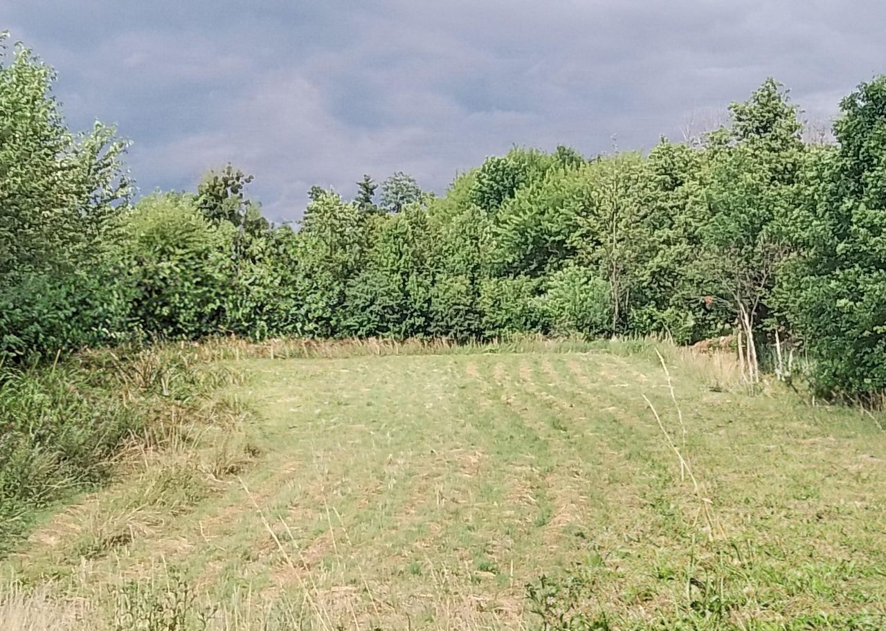 Działka rolno-budowlana Wysokie. Zdjęcie 2