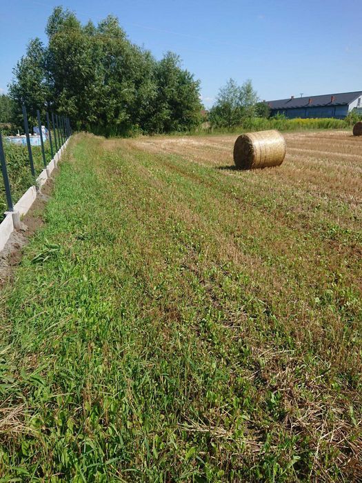 Działka budowlana Wola Rasztowska, ul. Radosna