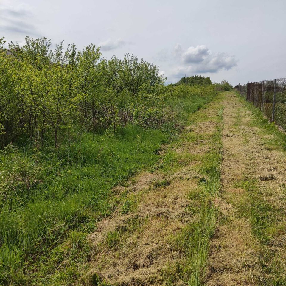 Działka rolna Podegrodzie. Zdjęcie 1