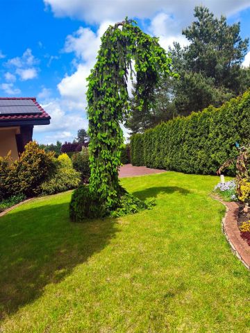 dom wolnostojący, 7 pokoi Tanowo. Zdjęcie 12