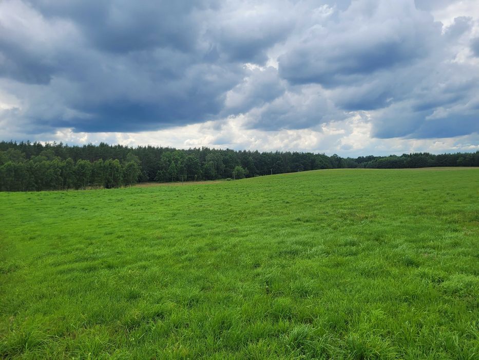Działka rolna Sierakowo Sławieńskie. Zdjęcie 6