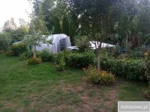 dom wolnostojący, 5 pokoi Tłuszcz Centrum, ul. Spokojna. Zdjęcie 4