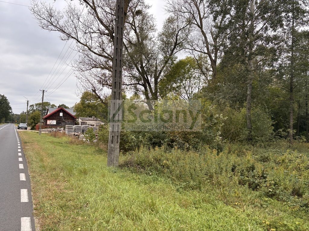Działka budowlana Wilków Polski. Zdjęcie 5