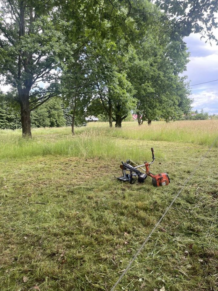 Działka rolna Wola Batorska. Zdjęcie 3