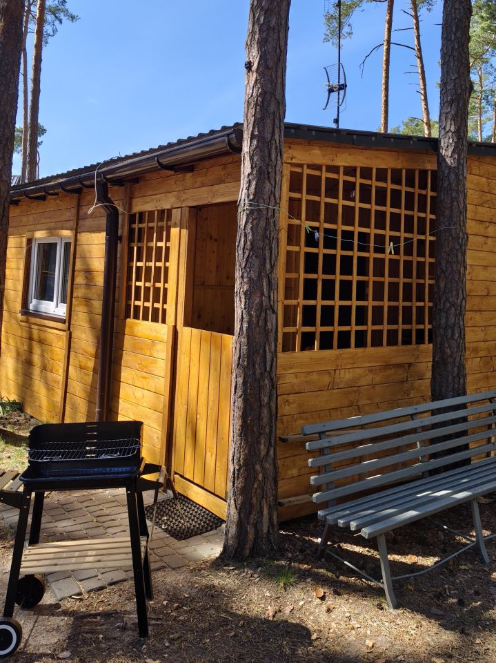 dom letniskowy, 3 pokoje Sielpia Mała, Dorzeczna. Zdjęcie 10