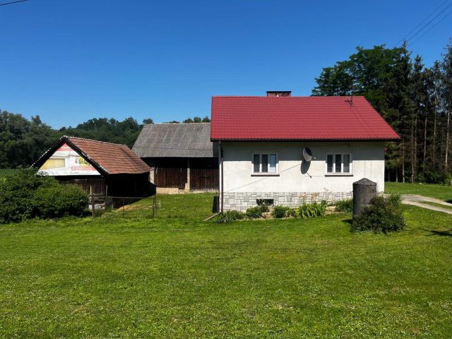 dom wolnostojący Rzepiennik Strzyżewski. Zdjęcie 1