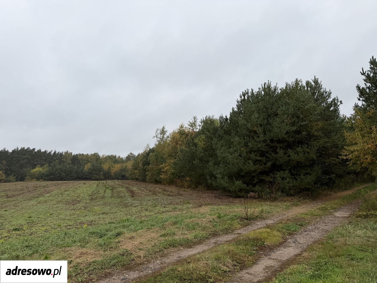 Działka budowlana Bechcice-Wieś. Zdjęcie 4