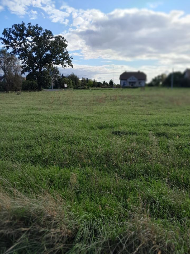 Działka budowlana Przyczyna Górna. Zdjęcie 2