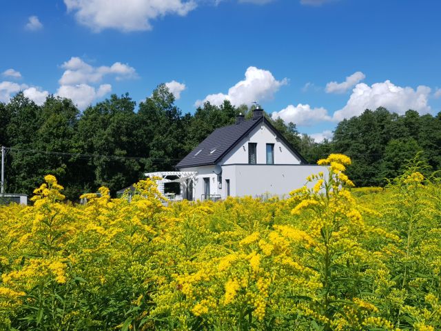 dom wolnostojący, 4 pokoje Sławków Niwa, ul. Niwa. Zdjęcie 1